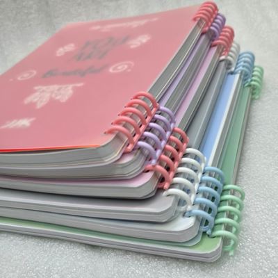 دفتر 100 برگ PP